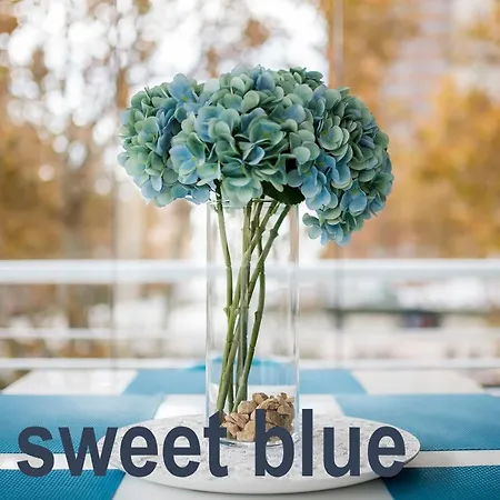 My Sweet Blue Apartman Benidorm